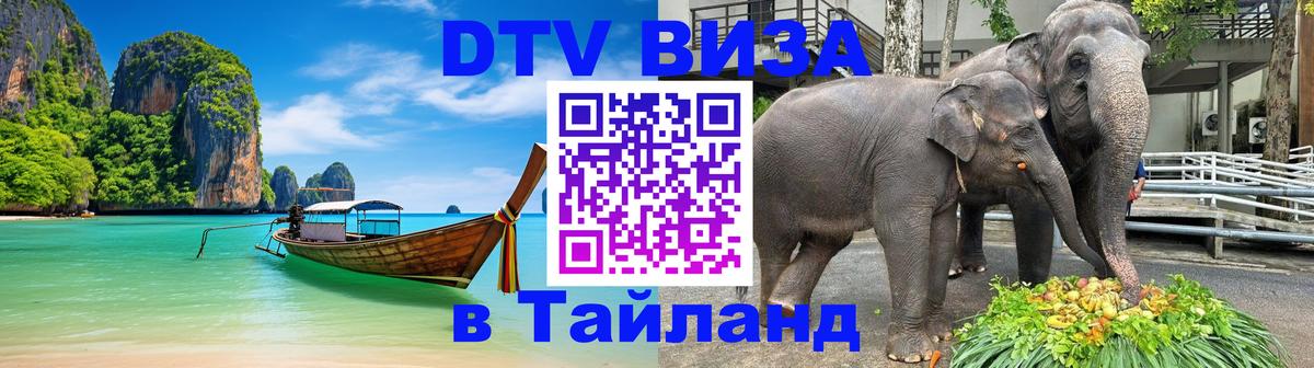 Оформление DTV визы под ключ: стоимость и тарифы, только загранпаспорт - 